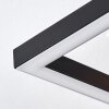 Pompu Plafones LED Madera clara, Negro, 2 luces