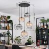 Koyoto Lámparas suspendidas, Luminarias esféricas, Lámpara colgante de clúster Colores ámbar, Transparente, Ahumado, 5 luces