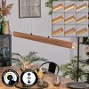 Fugelsta Lámparas suspendidas, Lámparas colgantes LED Negro, 1 luz