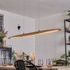 Fugelsta Lámparas suspendidas, Lámparas colgantes LED Negro, 1 luz