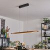 Fugelsta Lámparas suspendidas, Lámparas colgantes LED Negro, 1 luz