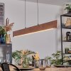 Fugelsta Lámparas suspendidas, Lámparas colgantes LED Negro, 1 luz
