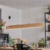 Fugelsta Lámparas suspendidas, Lámparas colgantes LED Negro, 1 luz