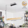 Fugelsta Lámparas suspendidas, Lámparas colgantes LED Negro, 1 luz