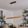 Fugelsta Lámparas suspendidas, Lámparas colgantes LED Negro, 1 luz