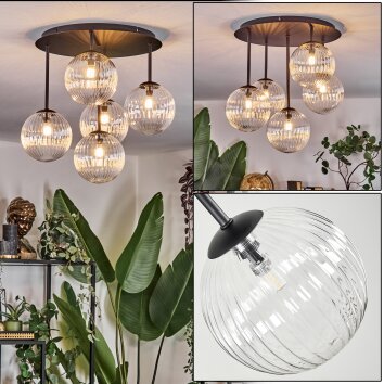 Chehalis Plafones, Luminarias esféricas Transparente, 5 luces