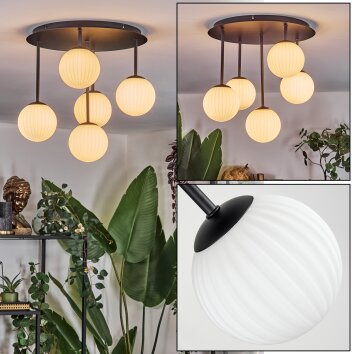 Chehalis Plafones, Luminarias esféricas Blanca, 5 luces