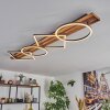Pompu Plafones LED Madera oscura, Negro, 1 luz