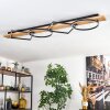 Pompu Plafones LED Madera clara, Negro, 1 luz