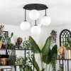 Chehalis Plafones, Luminarias esféricas Blanca, 5 luces