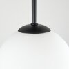 Chehalis Plafones, Luminarias esféricas Blanca, 5 luces
