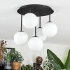 Chehalis Plafones, Luminarias esféricas Blanca, 5 luces