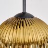 Koyoto Lámparas suspendidas, Luminarias esféricas, Lámpara colgante de clúster Cromo, dorado, Transparente, Color cobre, Ahumado, 5 luces