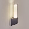 Isara Aplique de exterior, Apliques LED Antracita, 1 luz