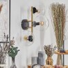 Gastor Luminarias esféricas, Apliques dorado, Negro, 3 luces