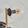 Gastor Luminarias esféricas, Apliques dorado, Negro, 3 luces