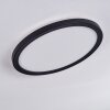 Qadir Plafon de exterior, Plafones LED Blanca, 1 luz