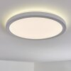Qadir Plafon de exterior, Plafones LED Blanca, 1 luz