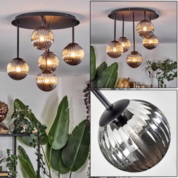 Chehalis Plafones, Luminarias esféricas Ahumado, 5 luces