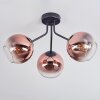 Koyoto Plafones, Luminarias esféricas Transparente, Color cobre, 3 luces
