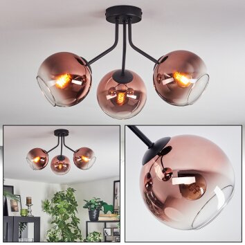 Koyoto Plafones, Luminarias esféricas Transparente, Color cobre, 3 luces