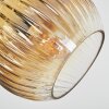 Koyoto Plafones, Luminarias esféricas dorado, Transparente, 3 luces