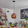 Koyoto Lámparas suspendidas, Luminarias esféricas, Lámparas colgantes dorado, Negro, 1 luz