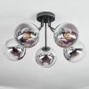 Gastor Plafones, Luminarias esféricas 52 cm Cromo, Transparente, Ahumado, 5 luces