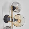 Ripoll Luminarias esféricas, Apliques dorado, Negro, 3 luces