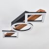 Tavon Plafones LED Madera oscura, Negro, 1 luz