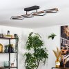 Tavon Plafones LED Madera oscura, Negro, 1 luz