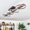 Tavon Plafones LED Madera oscura, Negro, 1 luz