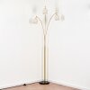 Bassagoda Lámpara de pie Latón, Negro, 3 luces