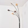 Nikkala Lámpara de pie Negro, 5 luces