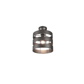 Reality Duncan Lámpara de Techo LED marrón oscuro, Níquel-mate, 1 luz