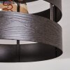 Maracoa Lámpara de Techo Crudo, 1 luz