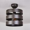 Maracoa Lámpara de Techo Crudo, 1 luz