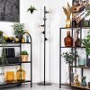 Koyoto Lámpara de pie 31 cm Transparente, 5 luces