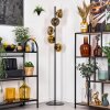 Koyoto Lámpara de pie 31 cm dorado, Transparente, 5 luces
