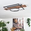 Pompu Plafones LED Marrón, Color madera, Negro, 1 luz