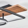 Pompu Plafones LED Marrón, Color madera, Negro, 1 luz