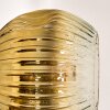 Ripoll Lámpara de pie dorado, Transparente, 5 luces