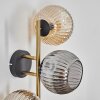 Ripoll Luminarias esféricas, Apliques dorado, Negro, 3 luces