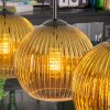 Koyoto Lámparas suspendidas, Luminarias esféricas, Lámparas colgantes dorado, Transparente, 4 luces