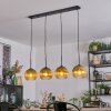 Koyoto Lámparas suspendidas, Luminarias esféricas, Lámparas colgantes dorado, Transparente, 4 luces