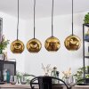 Ripoll Lámparas suspendidas, Luminarias esféricas, Lámparas colgantes dorado, 4 luces