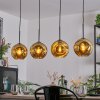 Ripoll Lámparas suspendidas, Luminarias esféricas, Lámparas colgantes dorado, 4 luces
