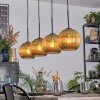 Koyoto Lámparas suspendidas, Luminarias esféricas, Lámparas colgantes dorado, 4 luces
