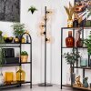 Koyoto Lámpara de pie Colores ámbar, Transparente, 5 luces