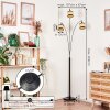 Chellas Lámpara de pie Cromo, Negro, 3 luces